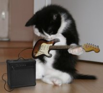 Stark Love Katz