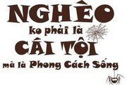 ongviet194