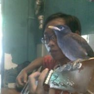 Nguyễn Huỳnh Mạnh Cường